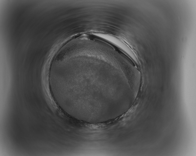 X0000088480241200705291633
