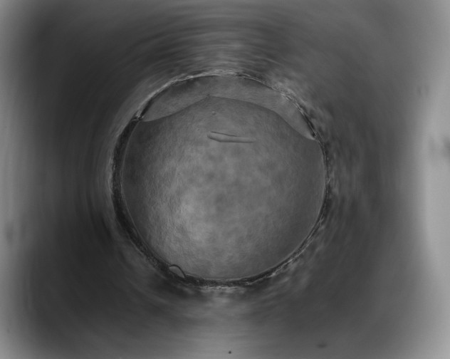 X0000088480242200705291633