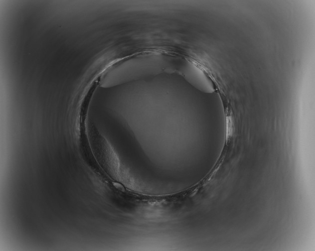X0000088480243200705291633