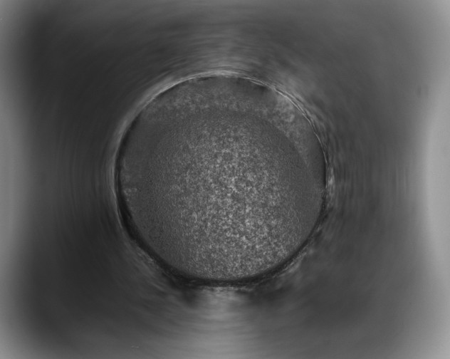 X0000088480244200705291633