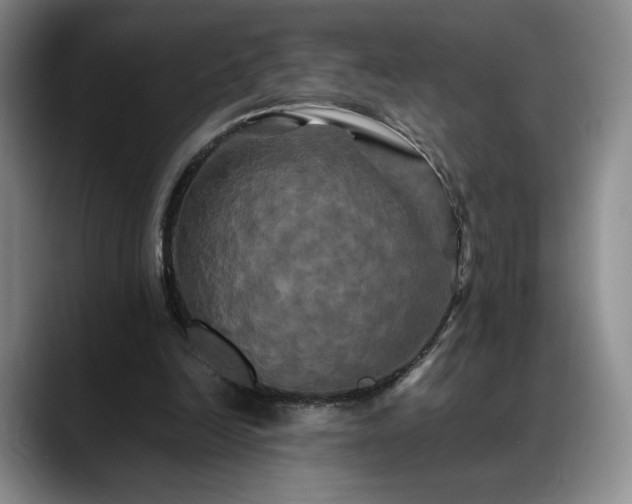 X0000088480246200705291633