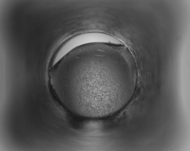 X0000088480248200705291633