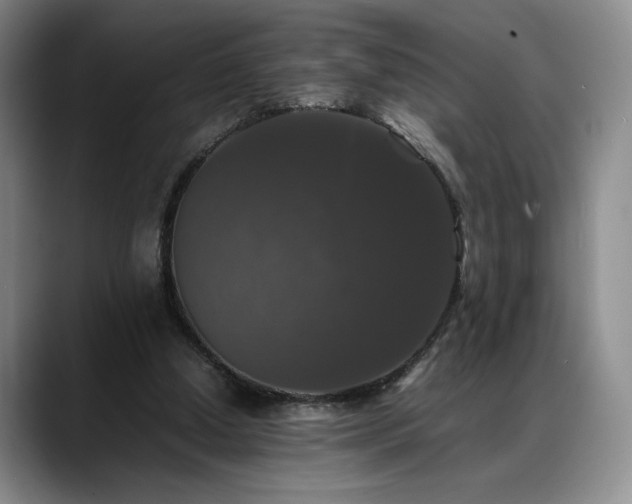 X0000088480250200705291633