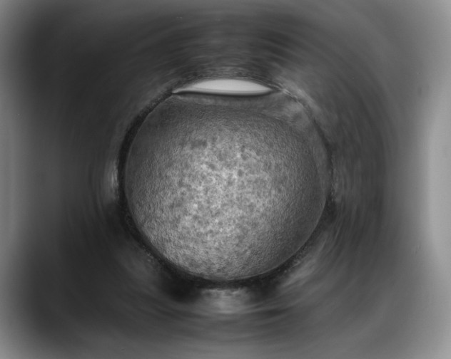 X0000088480251200705291633