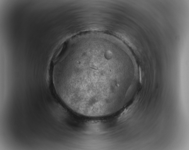 X0000088480252200705291633