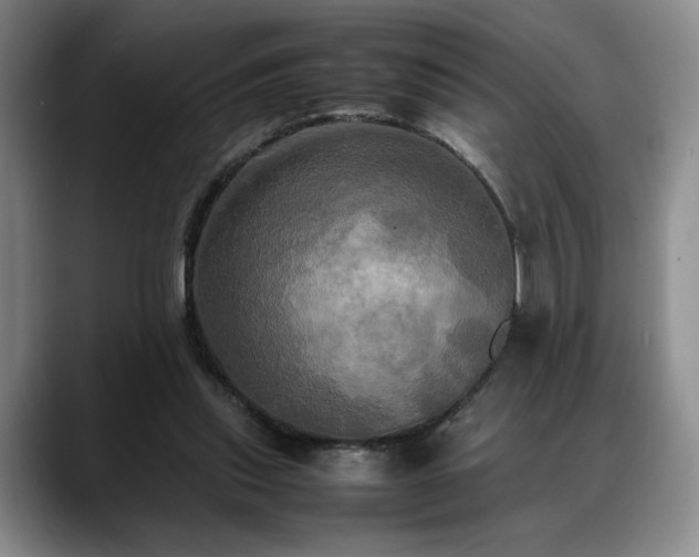 X0000088480253200705291633