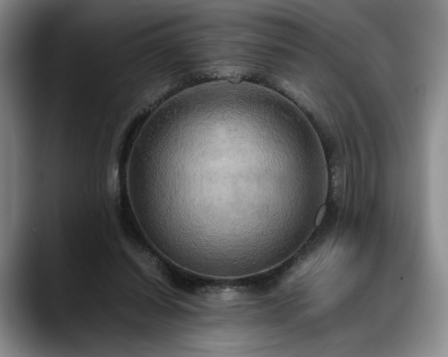 X0000088480254200705291633