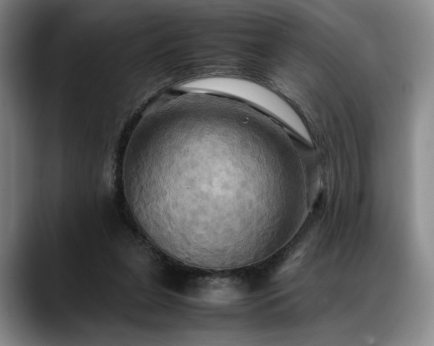 X0000088480255200705291633