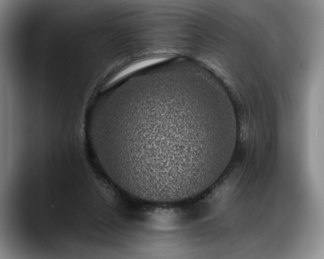 X0000088480256200705291633