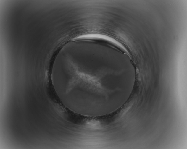 X0000088480258200705291633