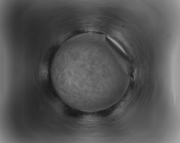 X0000088480259200705291633