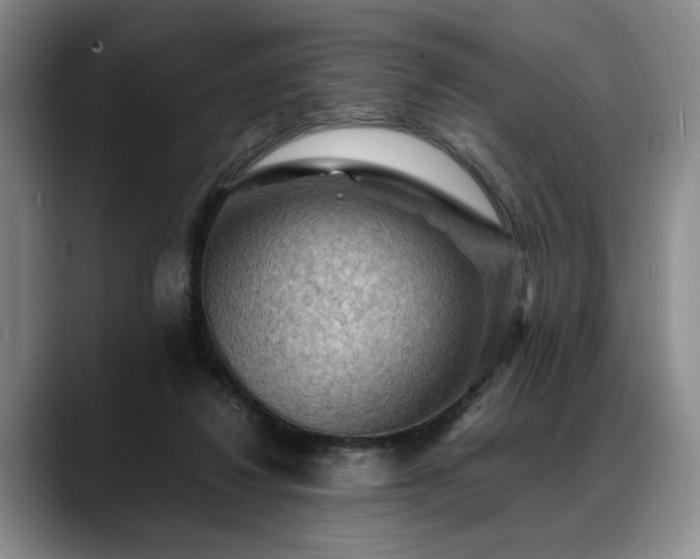 X0000088480260200705291633
