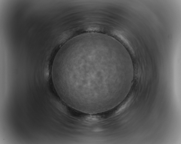 X0000088480261200705291633