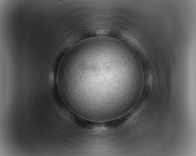 X0000088480262200705291633