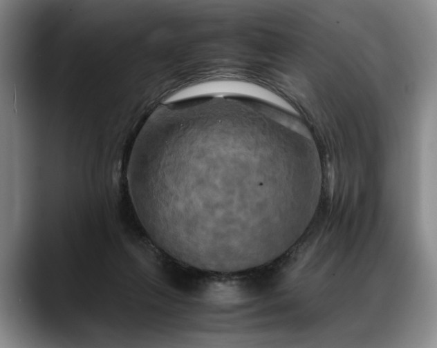 X0000088480263200705291633