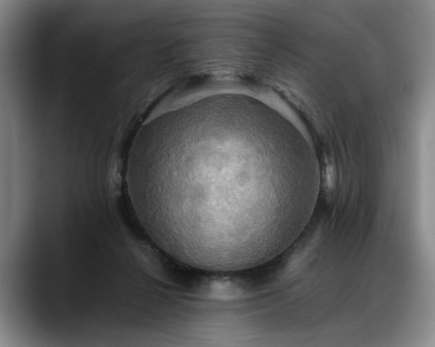 X0000088480264200705291633