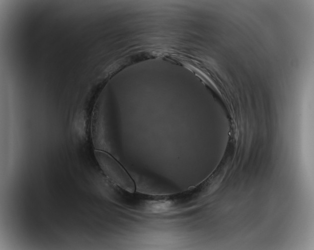 X0000088480266200705291633