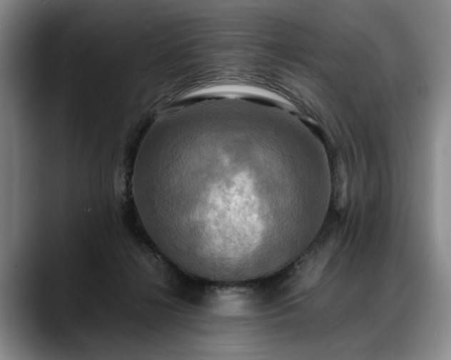 X0000088480268200705291633