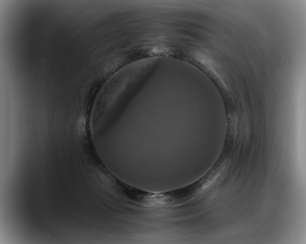 X0000088480269200705291633