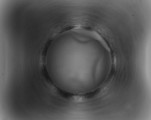 X0000088480272200705291633