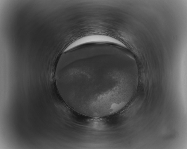X0000088480273200705291633