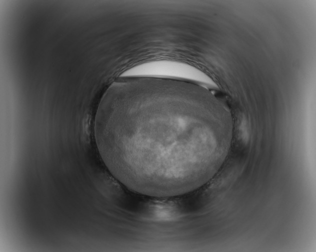 X0000088480275200705291633
