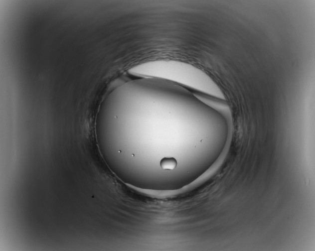 X0000088480276200705291633