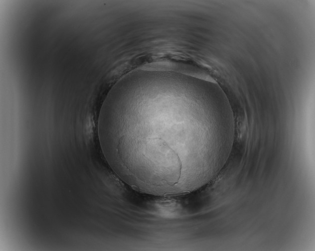 X0000088480279200705291633