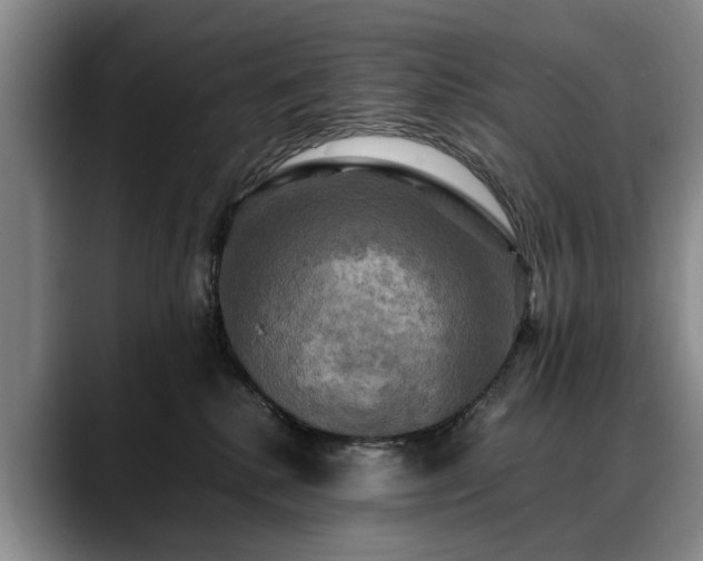 X0000088480280200705291633