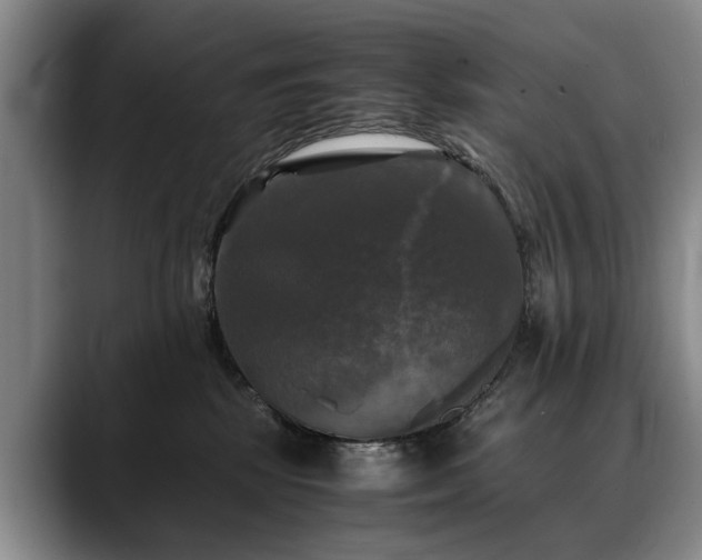 X0000088480281200705291633