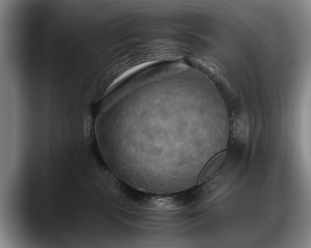X0000088480283200705291633