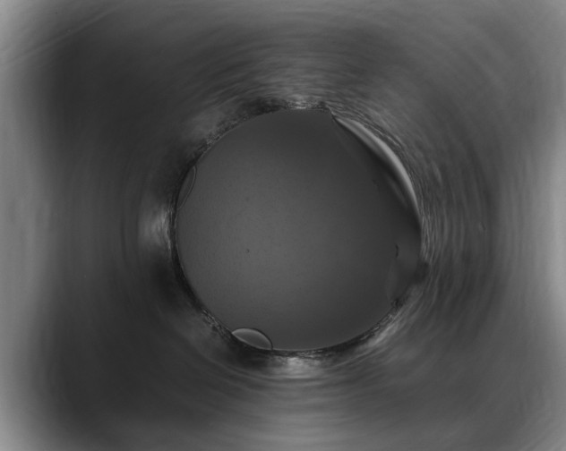 X0000088480286200705291633
