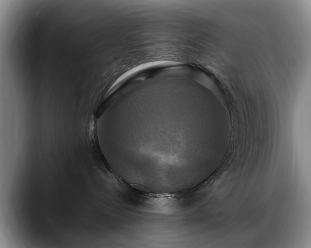 X0000088480288200705291633