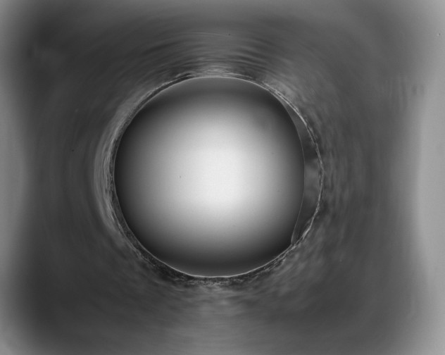 X0000088480289200705291633