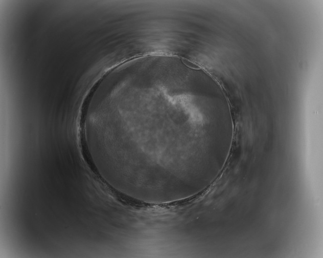 X0000088480290200705291633