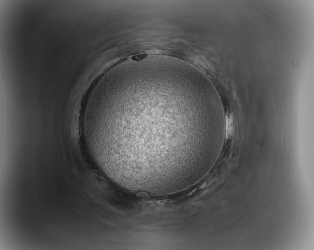 X0000088480291200705291633