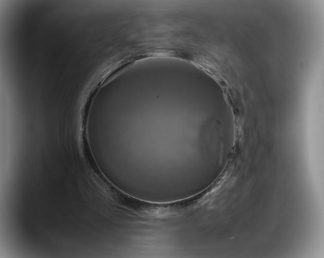 X0000088480293200705291633