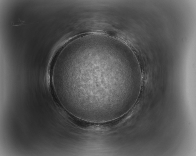 X0000088480294200705291633