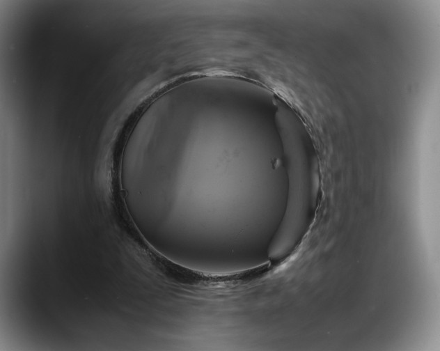 X0000088480295200705291633
