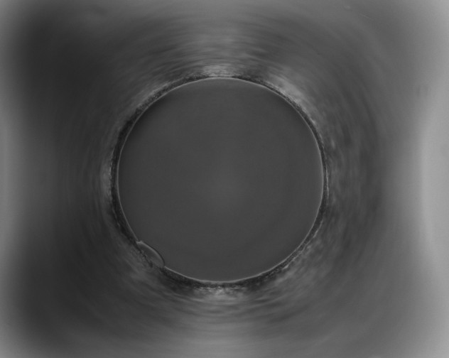 X0000088480297200705291633
