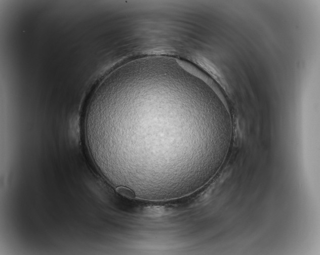 X0000088480298200705291633