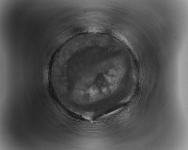 X0000088480299200705291633