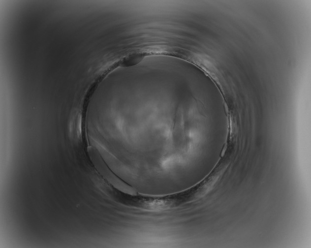 X0000088480301200705291633