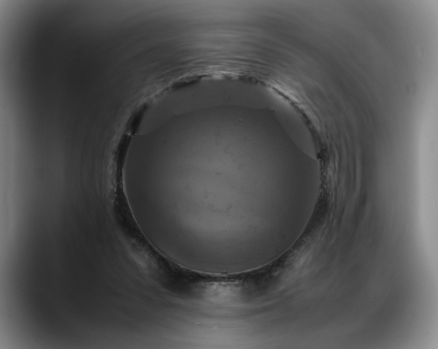 X0000088480303200705291633