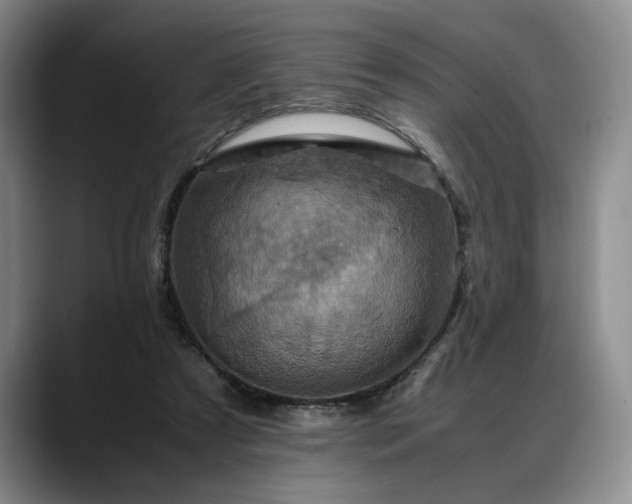 X0000088480305200705291633