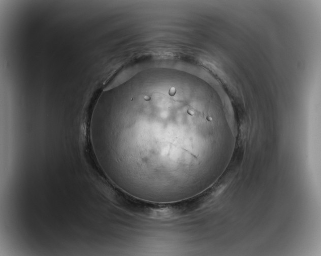 X0000088480309200705291633
