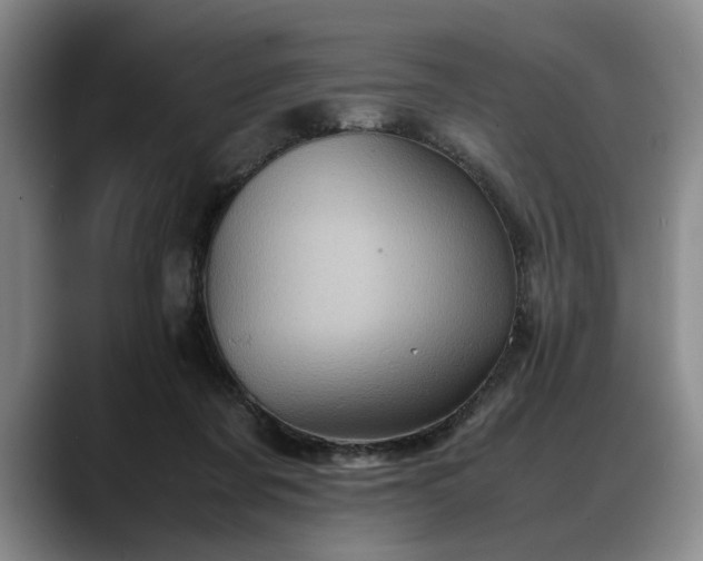 X0000088480311200705291633