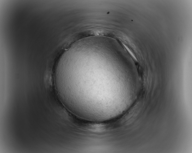 X0000088480313200705291633