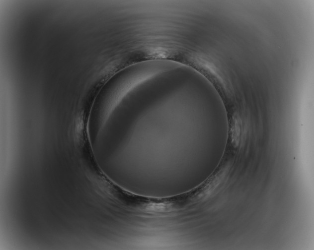 X0000088480314200705291633