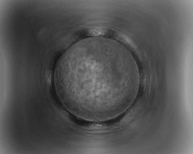 X0000088480315200705291633